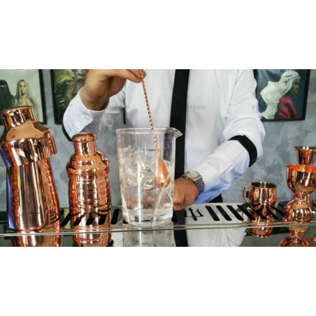 Diakey Lot De 8 Cuillères à Cocktail Pour Mélanger Les Boissons, 25,9