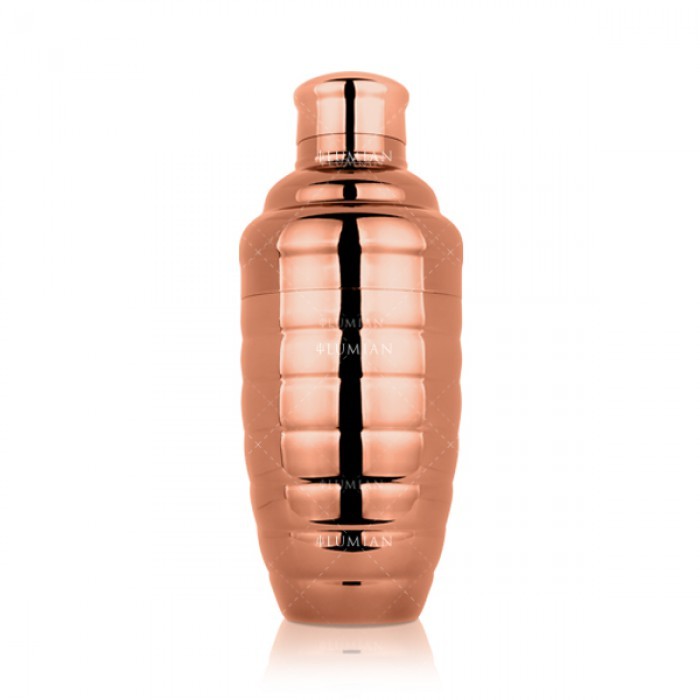 Shaker cobbler Bomber Lumian 50 cl (17 oz) inox – Image 5