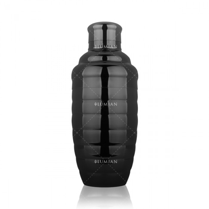 Shaker cobbler Bomber Lumian 50 cl (17 oz) inox – Image 2