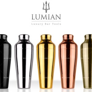 Shaker parisien Chrono 55 cl inox 18/10, 5 finitions