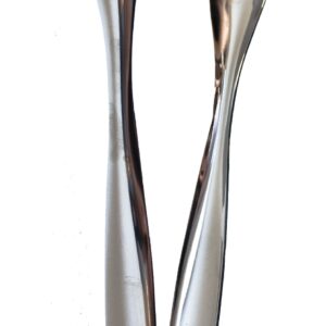 Pince à glace en inox 18 cm, pointes à griffes