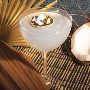 Verre à martini 24 cl Epoque, lot de 6