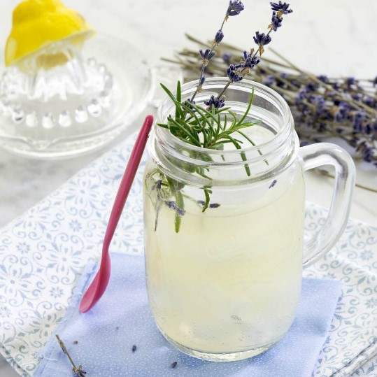 Verre à cocktail bocal Quattro Stagioni 40 cl avec anse – Image 8