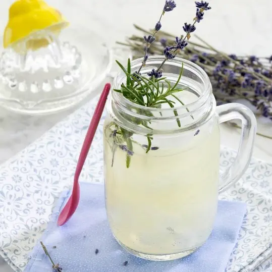 Verre à cocktail bocal Quattro Stagioni 40 cl avec anse – Image 8