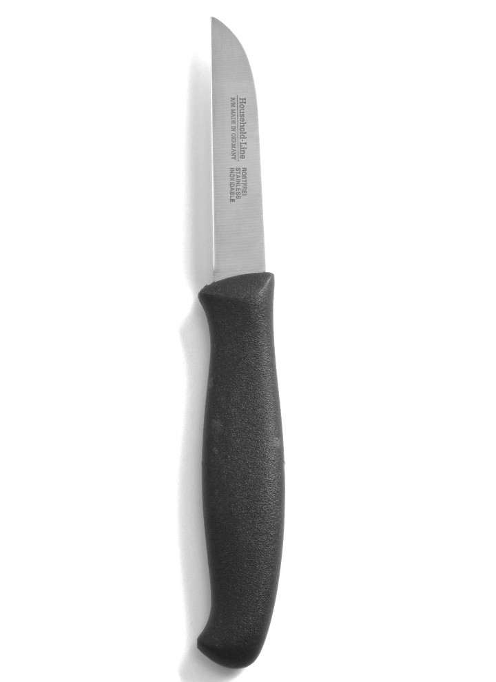 Couteau d'office à lame droite inox, 22 cm