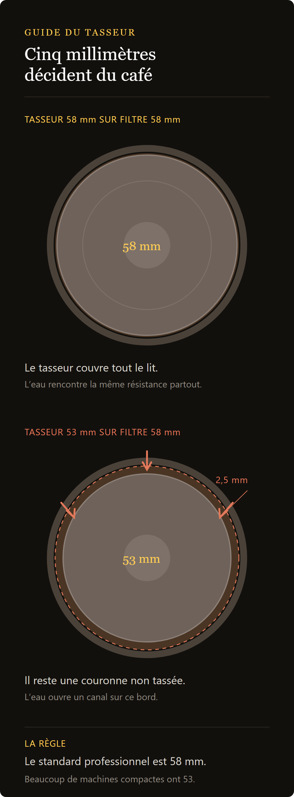 tamper 53 mm brillant : le diamètre du tamper face à celui du filtre, 53 et 58 mm comparés
