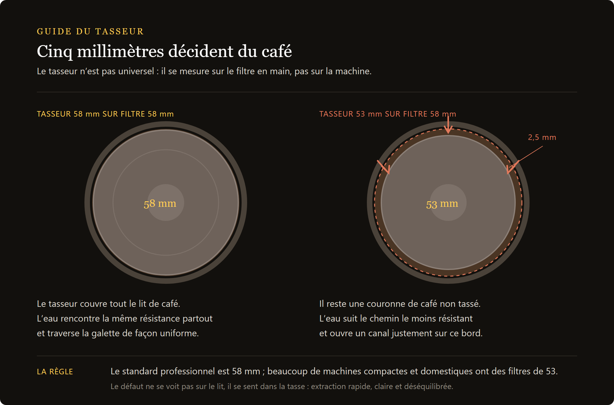 tamper 53 mm brillant : le diamètre du tamper face à celui du filtre, 53 et 58 mm comparés