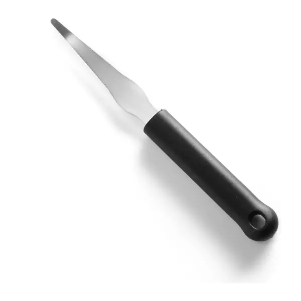 couteau à pamplemousse : lame courbe de 10 cm et manche noir