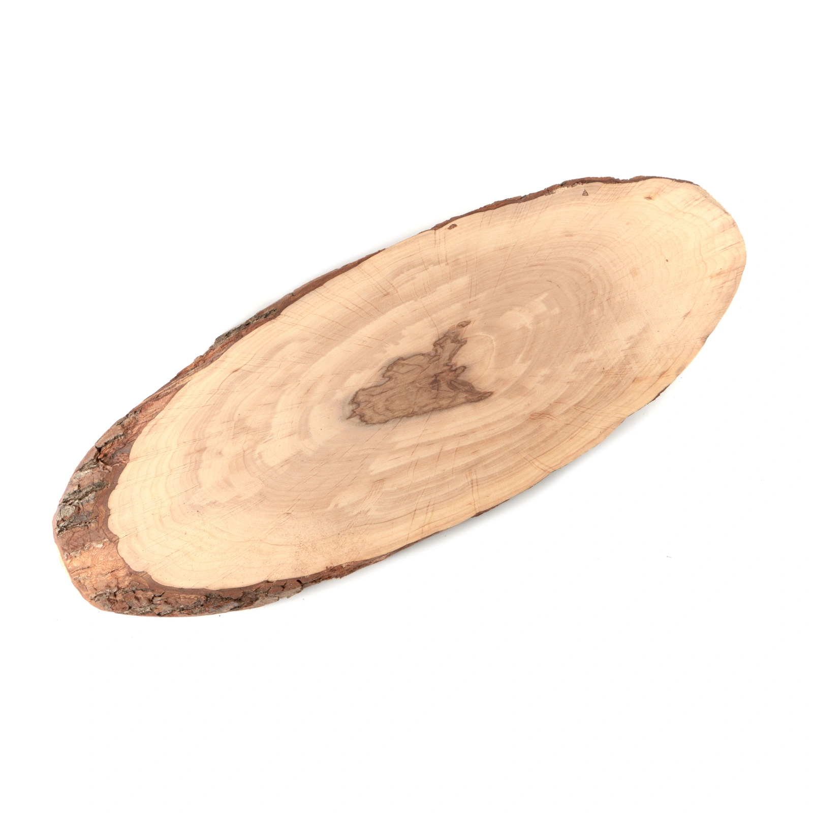 planche en aulne ovale, grande taille, de 15 à 18 cm de large